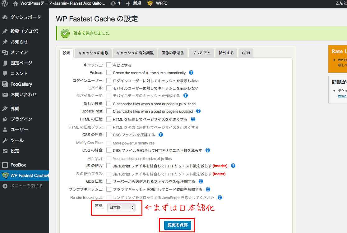 wp-fastst-cache